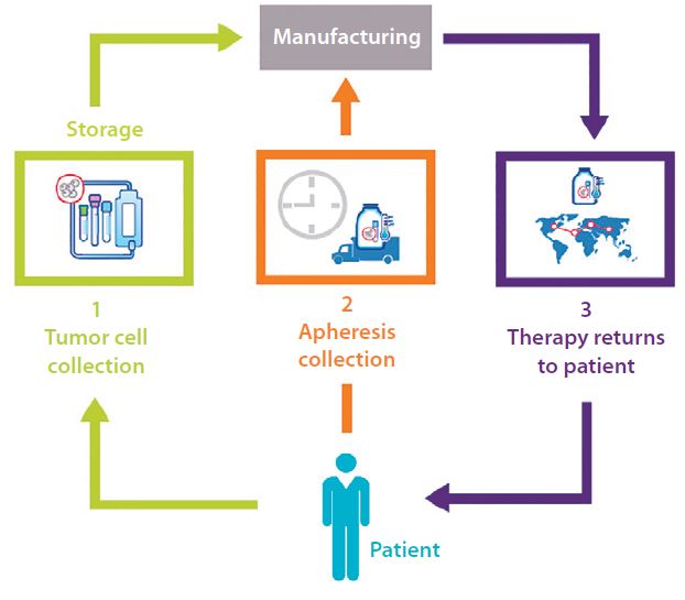 The typical process for a cancer-related autologous cell therapy