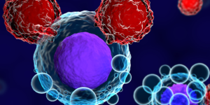 Apheresis Collection for CAR T-Cell Therapy Requires Agility in the Cold Chain