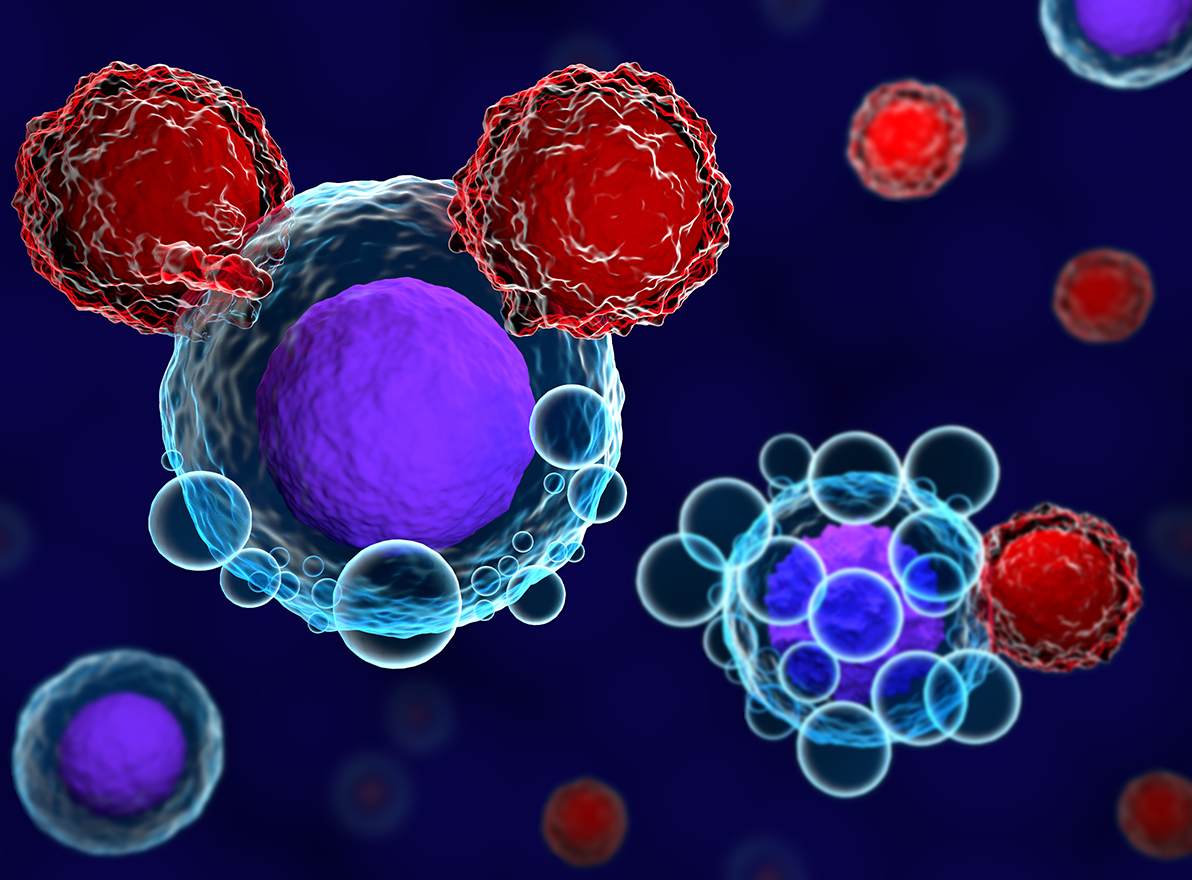 Apheresis Collection for CAR T-Cell Therapy Requires Agility in the Cold Chain