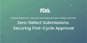 Zero-Defect Submissions: Securing First-Cycle Approval